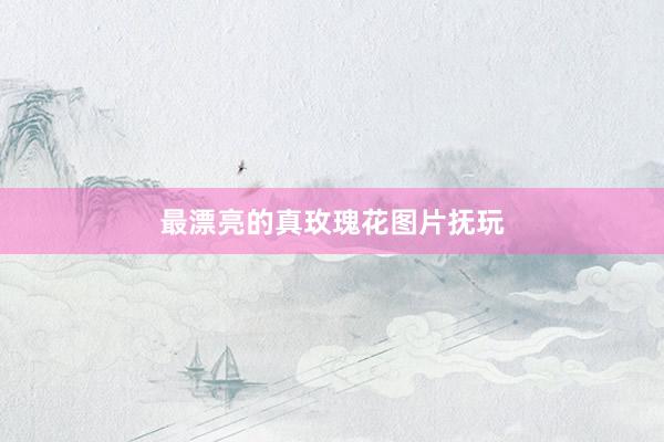 最漂亮的真玫瑰花图片抚玩
